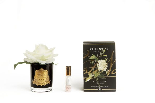 Picture of Cote Noire Single French Rose Ivory White with Gold Crest