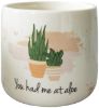 Picture of You had me at Aloe Planter White - Sm 11cm