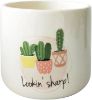 Picture of Lookin Sharp Planter White - Sm 11cm